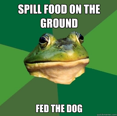 Spill food on the ground fed the dog  Foul Bachelor Frog