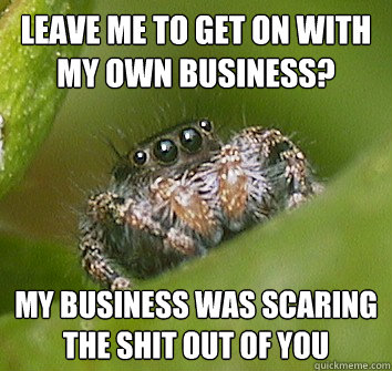 Leave me to get on with my own business? My business was scaring the shit out of you  Misunderstood Spider