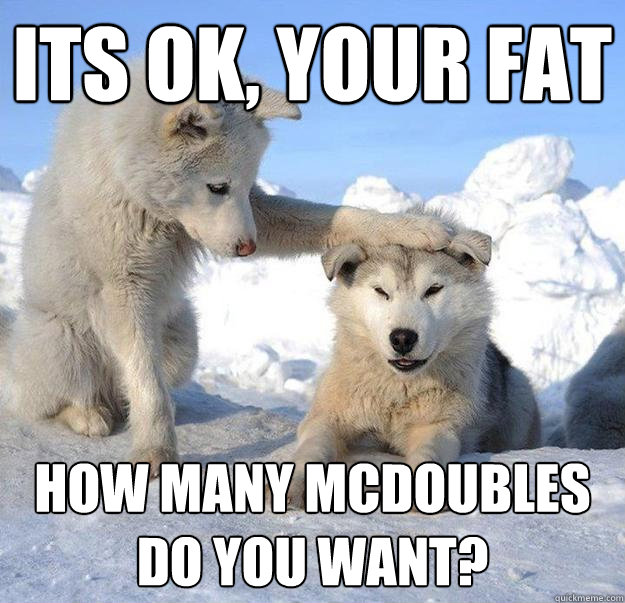 ITS OK, YOUR FAT
 HOW MANY mCDOUBLES DO YOU WANT?  Caring Husky