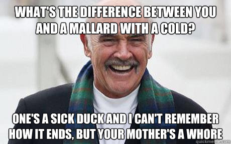 What's the difference between you and a mallard with a cold? one's a sick duck and I can't remember how it ends, but your mother's a whore  