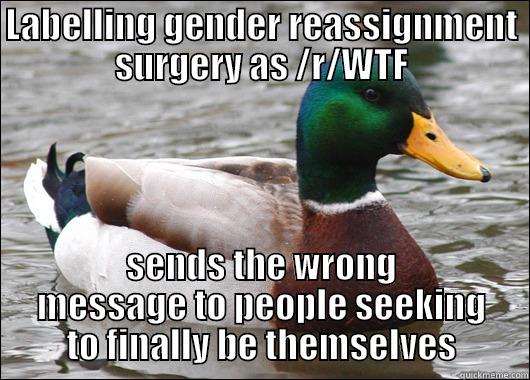 LABELLING GENDER REASSIGNMENT SURGERY AS /R/WTF SENDS THE WRONG MESSAGE TO PEOPLE SEEKING TO FINALLY BE THEMSELVES Actual Advice Mallard