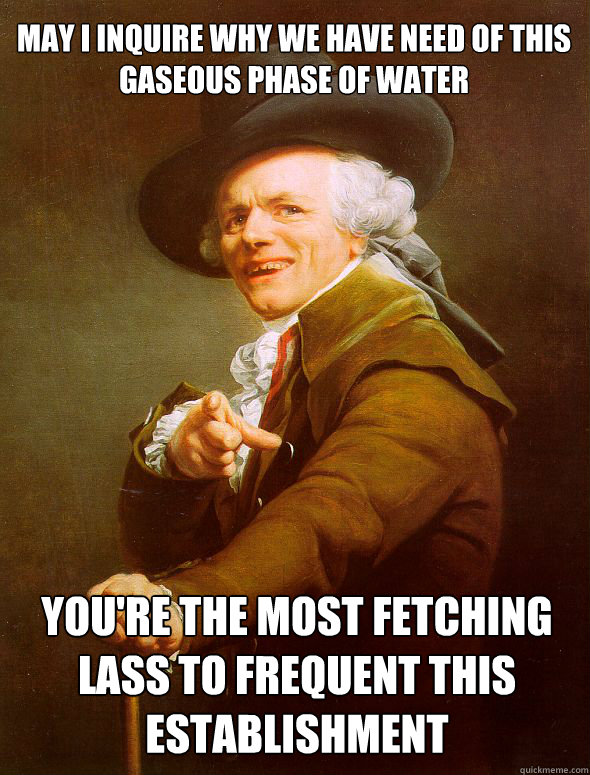 may I inquire why we have need of this  gaseous phase of water you're the most fetching lass to frequent this establishment  Joseph Ducreux