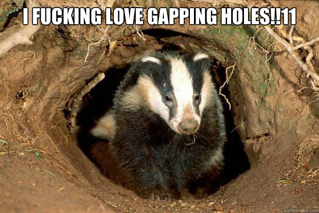 I fucking love gapping holes!!11  Sexual innuendo Badger