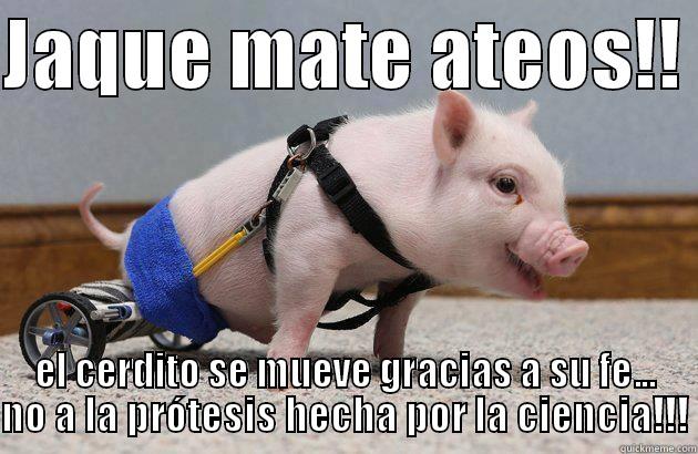 JAQUE MATE ATEOS!!  EL CERDITO SE MUEVE GRACIAS A SU FE... NO A LA PRÓTESIS HECHA POR LA CIENCIA!!! Misc