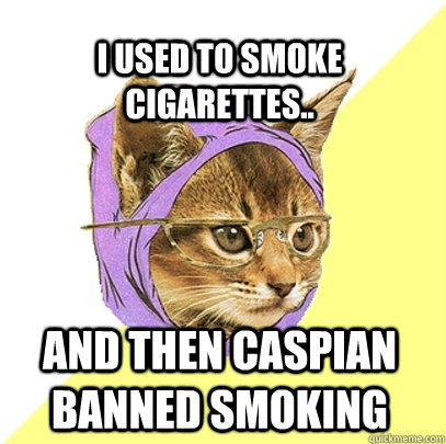 I used to smoke cigarettes.. And then Caspian banned smoking   Hipster Kitty