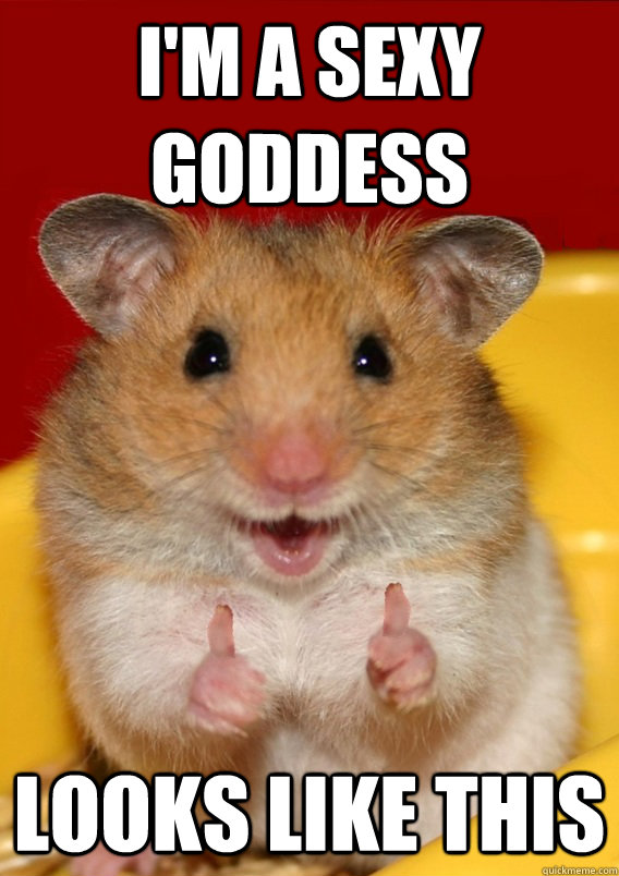 I'm a sexy goddess Looks like this   Rationalization Hamster