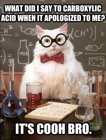 What did I say to carboxylic acid when it apologized to me? It's COOH bro. - What did I say to carboxylic acid when it apologized to me? It's COOH bro.  Chemistry Cat