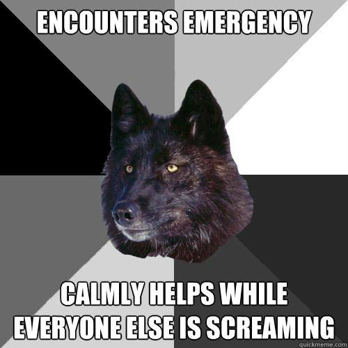 Encounters emergency Calmly helps while everyone else is screaming  Sanity Wolf