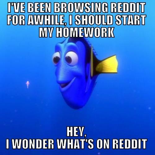 I'VE BEEN BROWSING REDDIT FOR AWHILE, I SHOULD START MY HOMEWORK HEY, I WONDER WHAT'S ON REDDIT dory