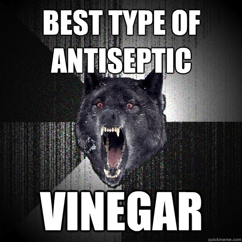 Best type of antiseptic vinegar  Insanity Wolf