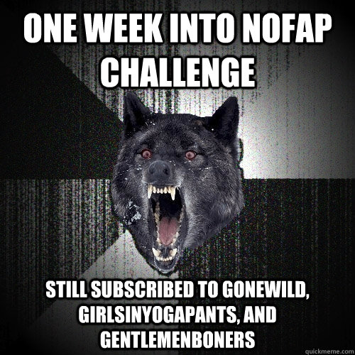 one week into nofap challenge still subscribed to gonewild, girlsinyogapants, and gentlemenboners  Insanity Wolf