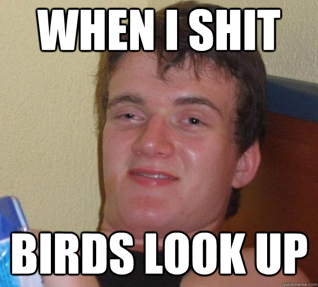 When i shit birds look up  10 Guy