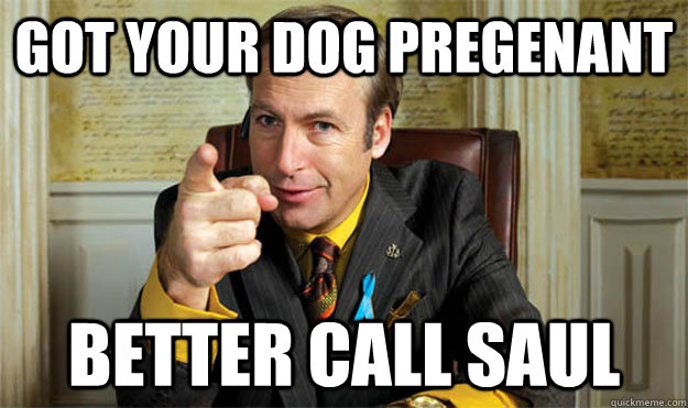 GOT YOUR DOG PREGENANT BETTER CALL SAUL  