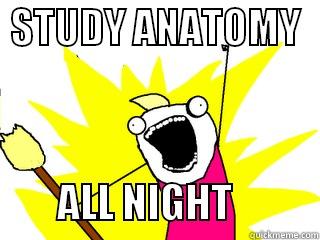  STUDY ANATOMY           ALL NIGHT           All The Things