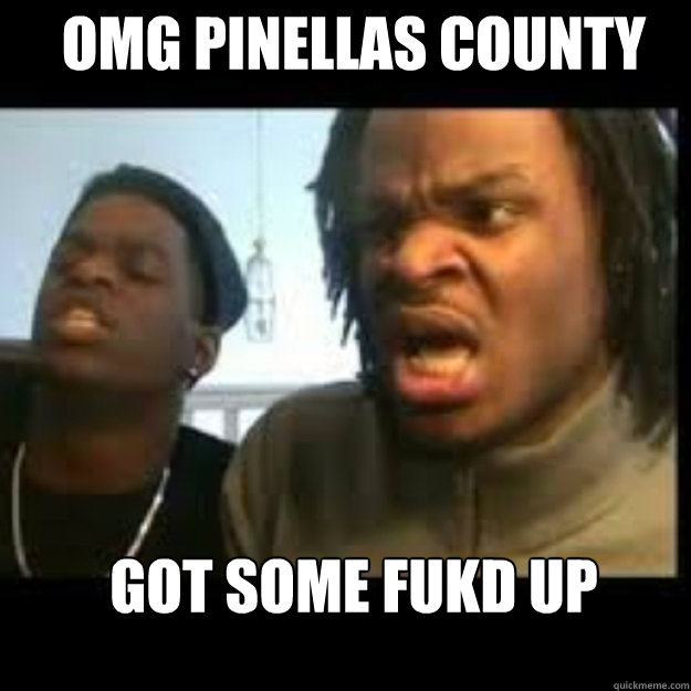 OMG Pinellas county  got some fukd up ratchet hoes  