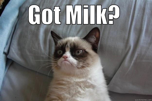 grumpy cat - GOT MILK?  Grumpy Cat