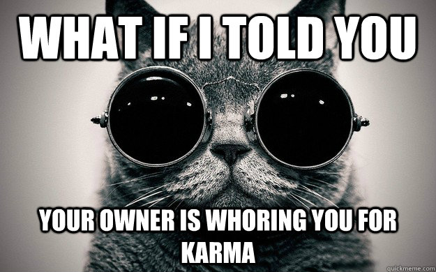What if i told you Your owner is whoring you for karma  