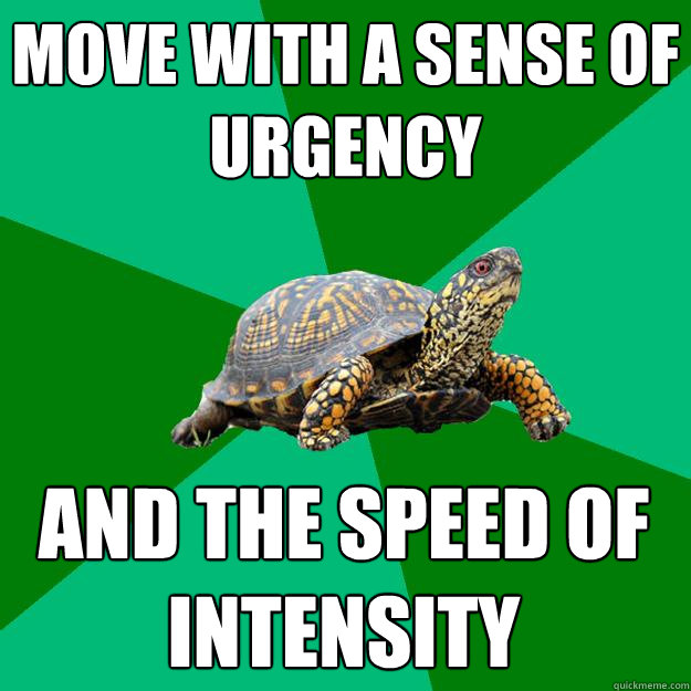 move with a sense of urgency and the speed of intensity  Torrenting Turtle