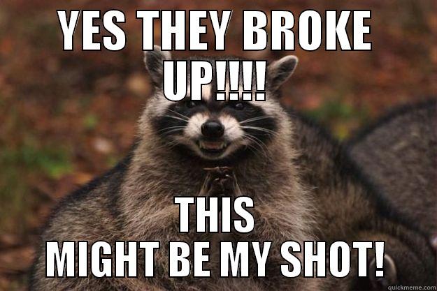 YES THEY BROKE UP!!!! THIS MIGHT BE MY SHOT! Evil Plotting Raccoon