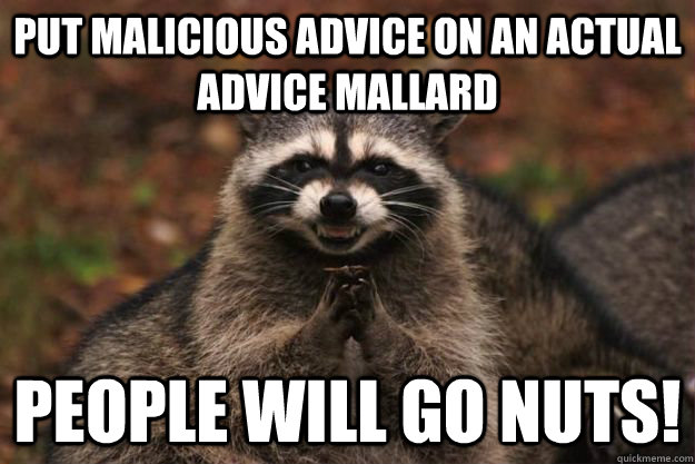 Put Malicious Advice on an actual advice mallard people will go nuts!  Evil Plotting Raccoon