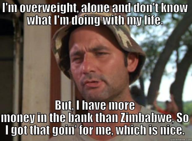 Better than Zimbabwe - I'M OVERWEIGHT, ALONE AND DON'T KNOW WHAT I'M DOING WITH MY LIFE. BUT, I HAVE MORE MONEY IN THE BANK THAN ZIMBABWE, SO I GOT THAT GOIN’ FOR ME, WHICH IS NICE. Misc