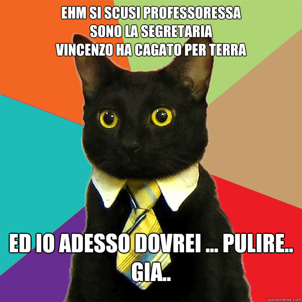 Ehm si scusi professoressa
sono la segretaria 
VINCENZO HA CAGATO PER TERRA  ed io adesso dovrei ... Pulire.. GIA..  Business Cat