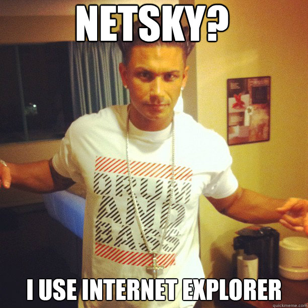 NETSKY? I USE INTERNET EXPLORER  Drum and Bass DJ Pauly D