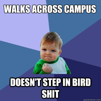 Walks across campus Doesn't step in bird shit  Success Kid