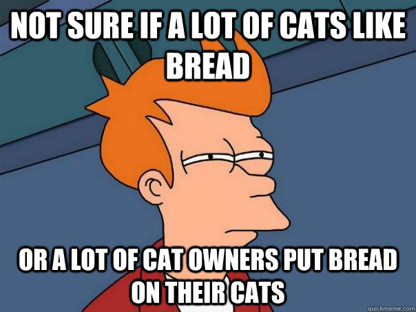 Not sure if a lot of cats like bread or a lot of cat owners put bread on their cats  Futurama Fry