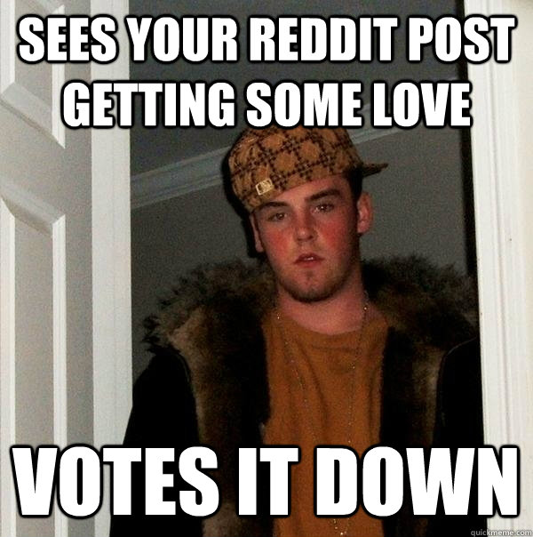 sees your reddit post getting some love votes it down - sees your reddit post getting some love votes it down  Scumbag Steve