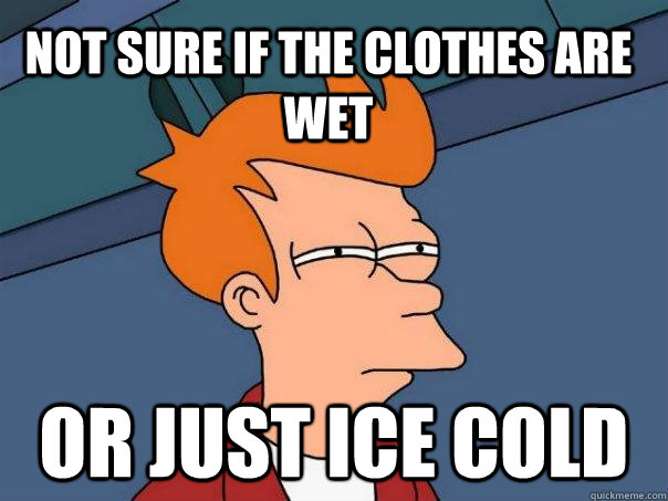 Not sure if the clothes are wet Or just ice cold - Not sure if the clothes are wet Or just ice cold  Futurama Fry