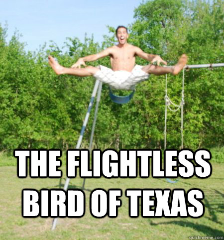 The flightless bird of texas - The flightless bird of texas  Baby time