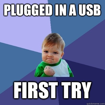 Plugged in a USB  First Try  Success Kid