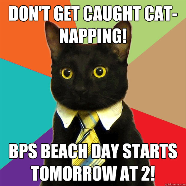 Don't get caught cat-napping! BPS Beach Day starts tomorrow at 2!  Business Cat