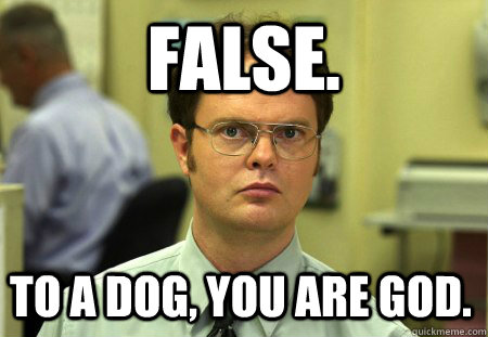 false. to a dog, you are god.  Dwight