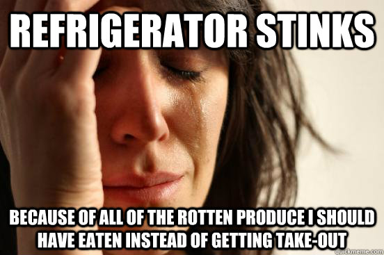 Refrigerator stinks Because of all of the rotten produce I should have eaten instead of getting take-out - Refrigerator stinks Because of all of the rotten produce I should have eaten instead of getting take-out  First World Problems