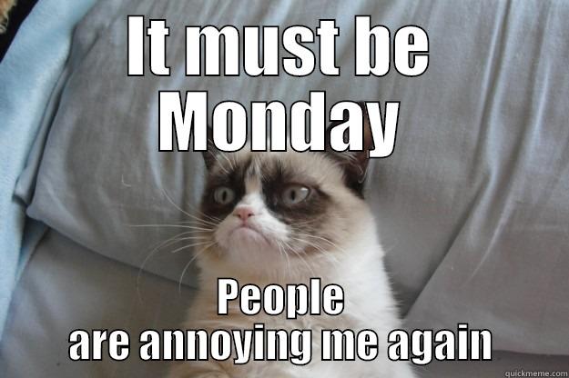 IT MUST BE MONDAY PEOPLE ARE ANNOYING ME AGAIN Grumpy Cat