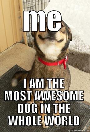 Diggy Doggy - ME I AM THE MOST AWESOME DOG IN THE WHOLE WORLD Good Dog Greg