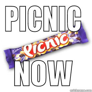 PICNIC NOW Misc