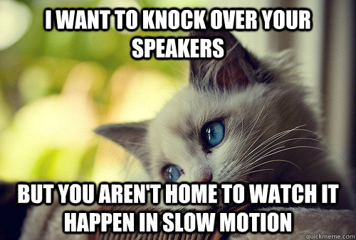 I want to knock over your speakers but you aren't home to watch it happen in slow motion  First World Problems Cat