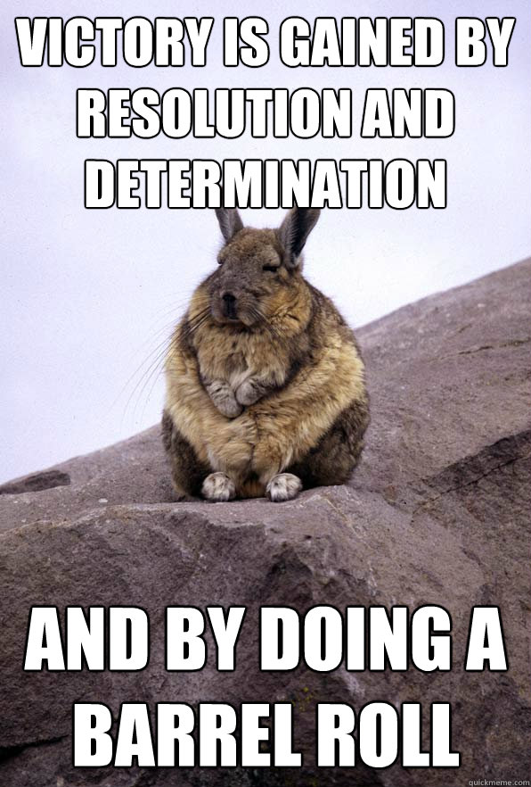 victory is gained by resolution and determination and by doing a barrel roll - victory is gained by resolution and determination and by doing a barrel roll  Wise Wondering Viscacha