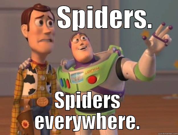        SPIDERS. SPIDERS EVERYWHERE. Toy Story