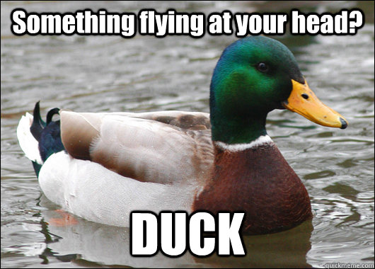 Something flying at your head? DUCK  Actual Advice Mallard