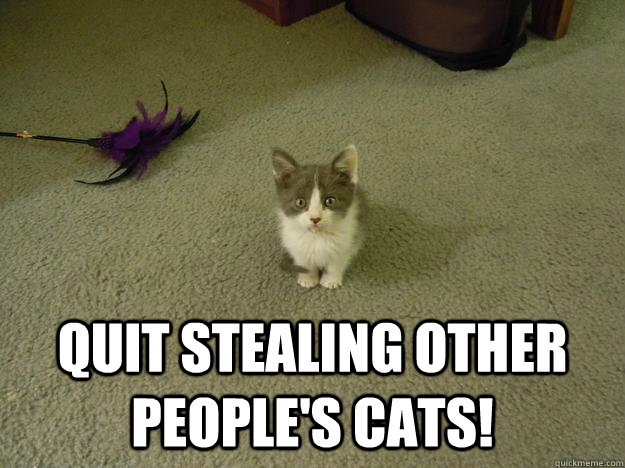 QUIT STEALING OTHER PEOPLE'S CATS! - QUIT STEALING OTHER PEOPLE'S CATS!  Misc