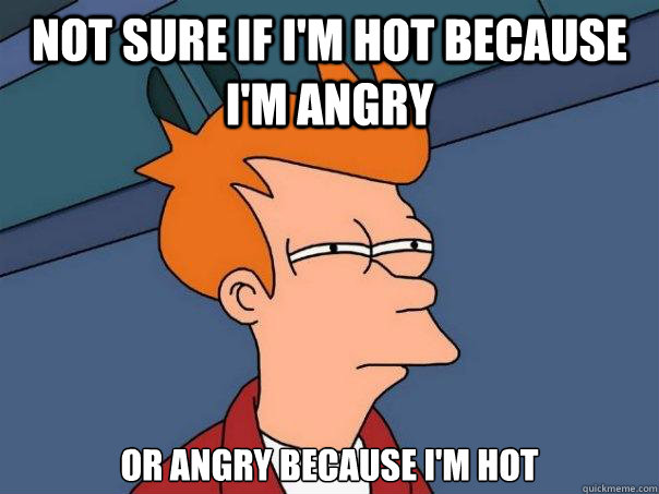 not sure if I'm hot because I'm angry  or angry because I'm hot  Futurama Fry