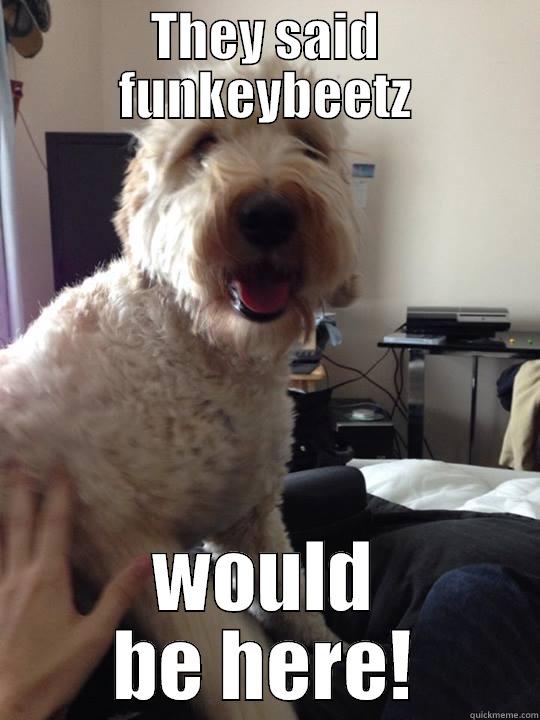 Dog meme - THEY SAID FUNKEYBEETZ WOULD BE HERE! Misc