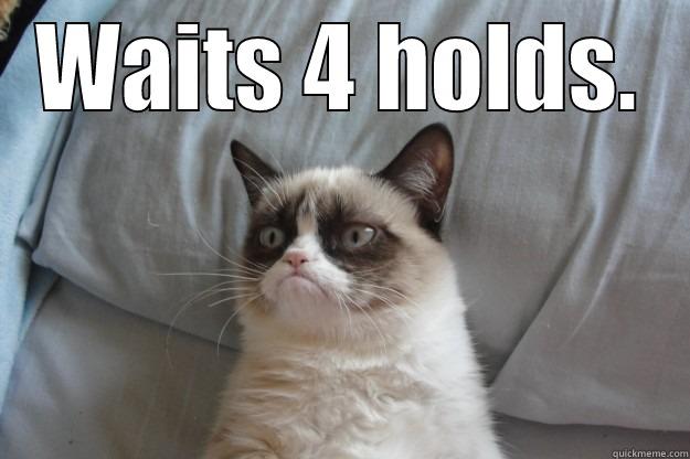 WAITS 4 HOLDS.  Grumpy Cat