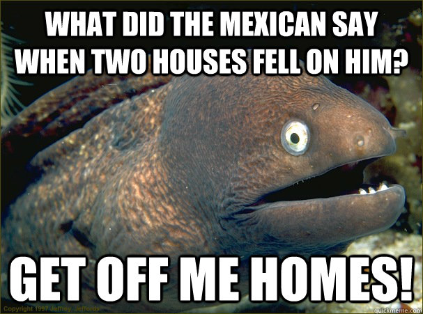 what did the mexican say when two houses fell on him? get off me homes!  Bad Joke Eel