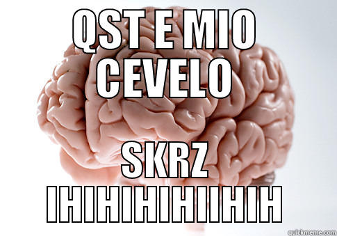 QST E MIO CEVELO SKRZ IHIHIHIHIIHIH Scumbag Brain