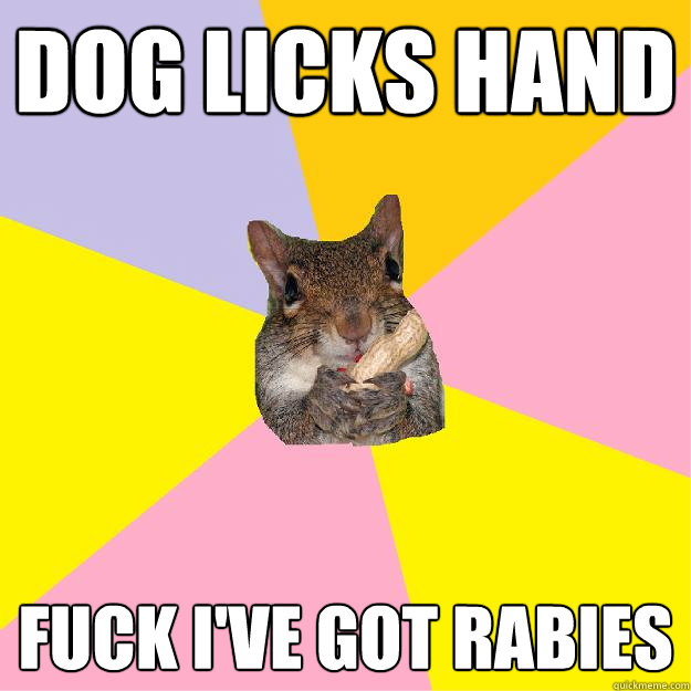 dog licks hand fuck i've got rabies   Hypochondriac Squirrel